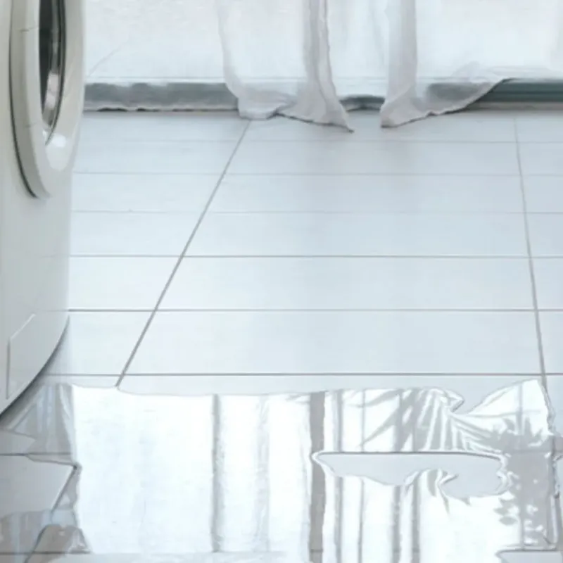 Appliance Leak Cleanup in The Acreage, FL